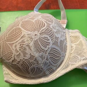 Daisy Fuentes Cream Lace Bra